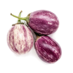AUBERGINE 500
