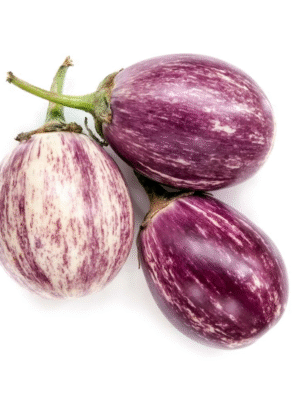 AUBERGINE 225