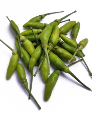 BIRD EYE CHILLI
