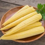 BABY CORN