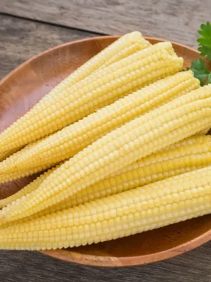 BABY CORN