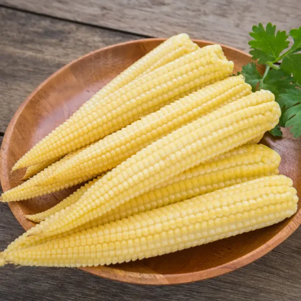 BABY CORN