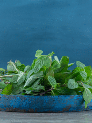 BASIL