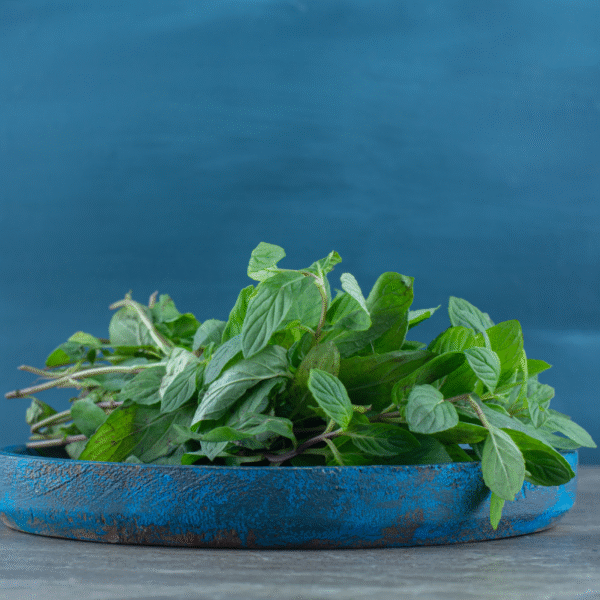 BASIL