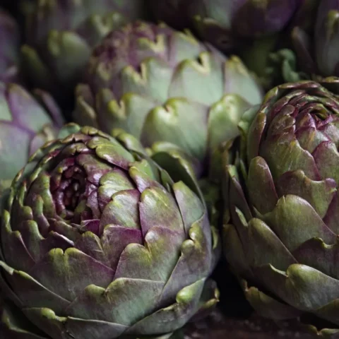 ARTICHOKE