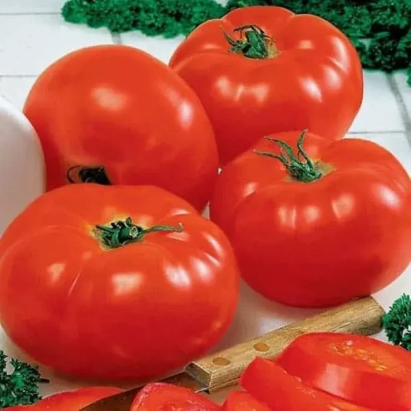 BEEF TOMATOES