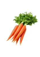 CARROT