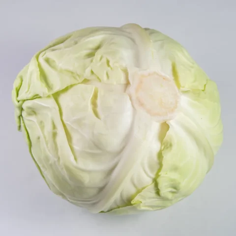 WHITE CABBAGE
