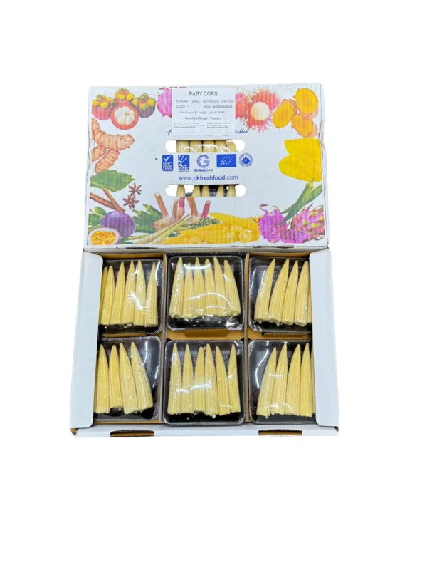 BABY CORN