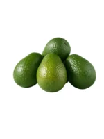 AVOCADO 14 SIZE