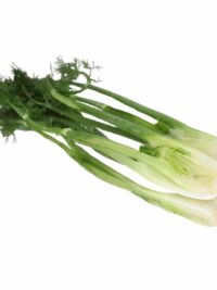 BABY FENNEL