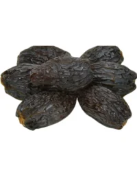 STANDERDS DATES SEASONAL