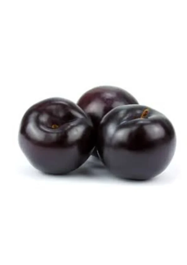 BLACK PLUM 42 size