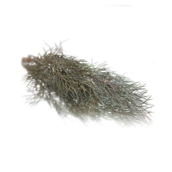 BRONZE FENNEL EDIBLE LEAVES