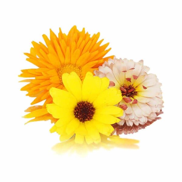 CALENDULA DRIED (MARIGOLD)