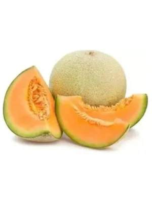 CANTILOPE MELON 8 Size