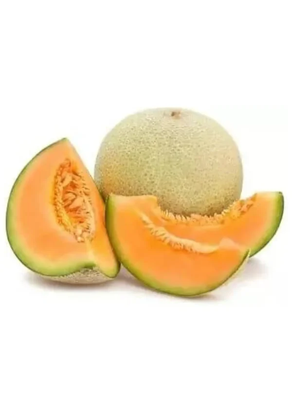 CANTILOPE MELON 8 Size