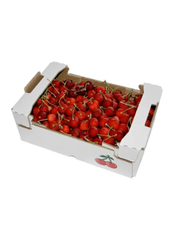 CHERRY Box 5KG