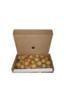 CHIKOO Box 4kg