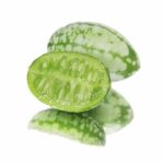 CUCAMELONS (mouse melons)