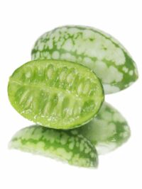 CUCAMELONS (mouse melons)