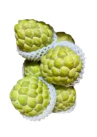CUSTARD APPLE Seasonal