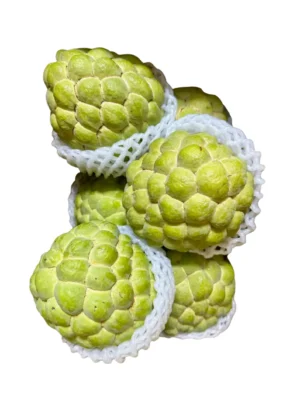 CUSTARD APPLE Seasonal