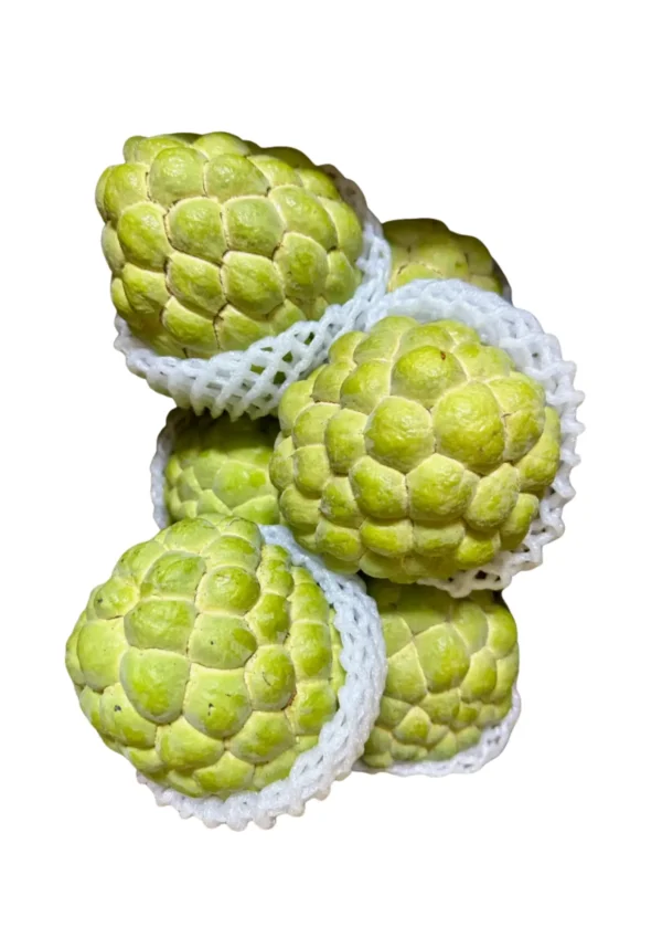 CUSTARD APPLE Seasonal