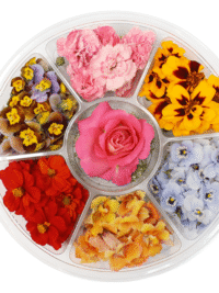 EDIBLE SELECTION WHEEL