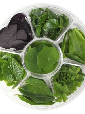 EDIBLE SELECTION WHEEL