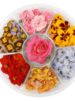 EDIBLE SELECTION WHEEL