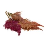 FIRE FEATHER PRESSED( CELOSIA)