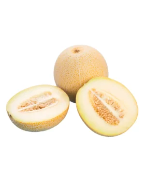 GALIA MELON 8 Size