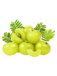 GOOSEBERRY(AMALA) box 4KG