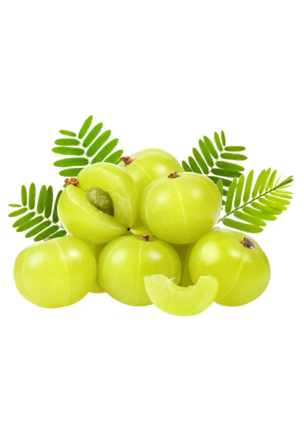 GOOSEBERRY(AMALA) box 4KG