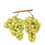 ITALIAN WHITE GRAPES