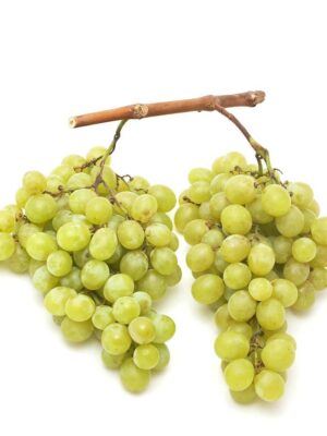 ITALIAN WHITE GRAPES