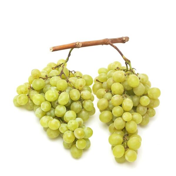 ITALIAN WHITE GRAPES