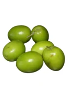 JUJUBE (COURJETTS)