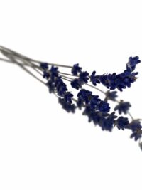 LAVENDER DRIED
