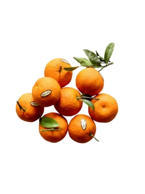 LEAFY CLEMENTINE