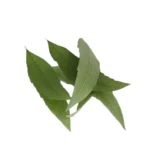 LEMON VERBENA PRESSED LEAVES
