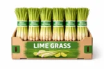 LIME GRASS