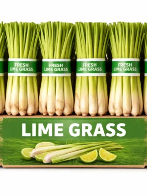 LIME GRASS