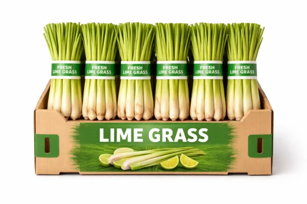 LIME GRASS