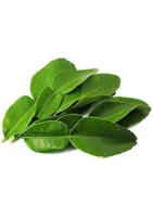 LIME LEAF PACKET 50 GRAM
