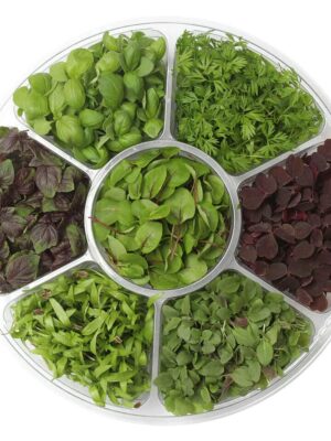 MICRO CRESS SELECTION