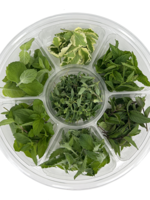 MINT TIPS SELECTION WHEEL