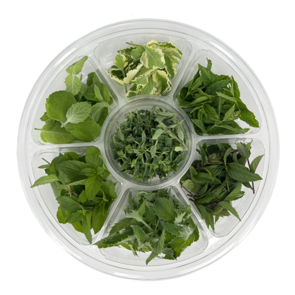 MINT TIPS SELECTION WHEEL