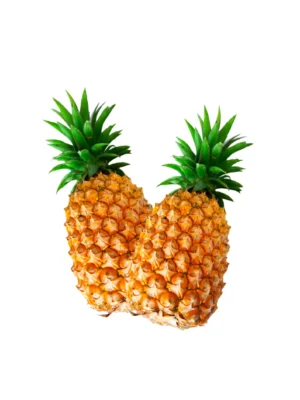 PINEAPPLE